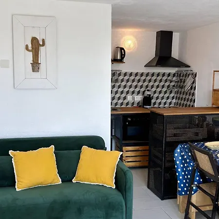 Apartment Renove Avec Mezzanine, Proche Et Commerces, Parking Prive - Fr-1-529-307 Le Barcarès